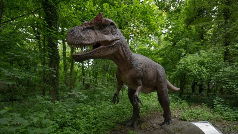 Malbork z Dino Parkiem